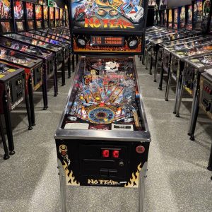 No Fear pinball